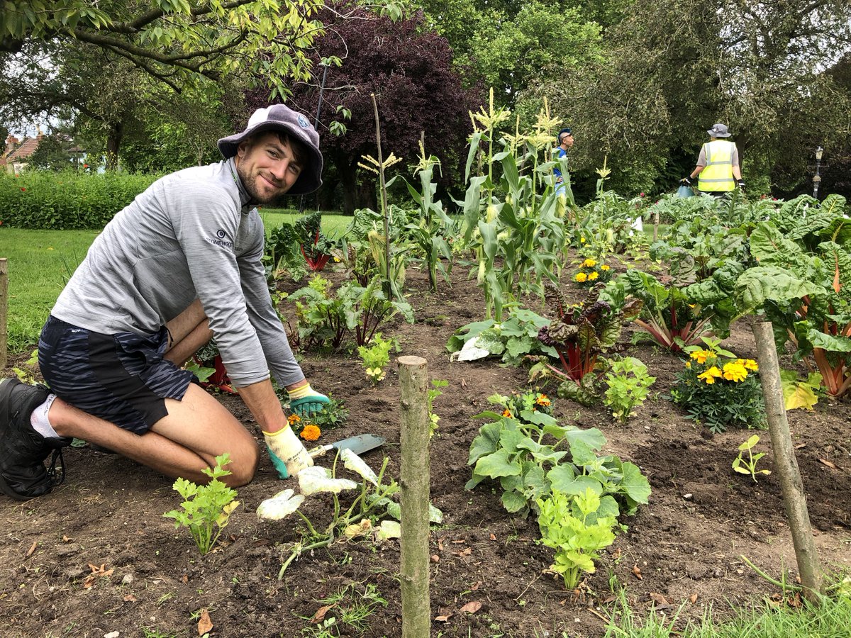 bristolparks's tweet photo. Parks staff are working with @CoBCollege & local #volunteers to grow #peatfree veggies for #foodbanks at Victoria Park. These beauties were donated by @blaise_plants as part of @BristolCouncil's Climate & Ecological Emergency Programme
#BiteBackBetter #BristolClimateAction https://t.co/Up7ug5739J
