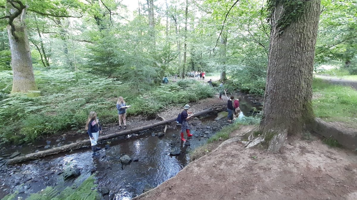 Our Year 10 Geography students have been in the Forest of Dean measuring river channels, looking at river features and assessing the drainage basin to ascertain flood risk. #geographyfieldtrip #gcsegeography