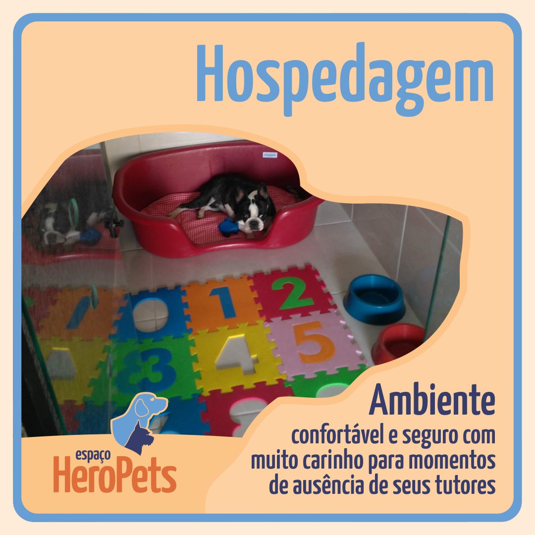 EspacoHeroPets's tweet image. No período da hospedagem, proporcionamos ao pet a companhia de nossos monitores com entretenimento e muito carinho, afim de minimizar ao máximo a ausência dos familiares. Além de oferecer um ambiente confortável e seguro para os pets.