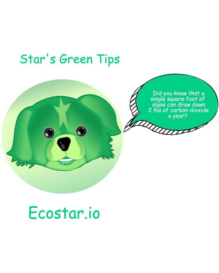 ecostarcoin's tweet photo. https://t.co/oM1OX5oMgG $ESR #ecostar #memecoins #cryptocurrency #tokens #NFTCommunity #Decentralized #NFTartist #plants #trees #ClimateCrisis #Recycle #GoGreen #CleanEnergy #SustainableBlockchain https://t.co/oM1OX5oMgG🌍🌱 https://t.co/3gCzWxMjVz