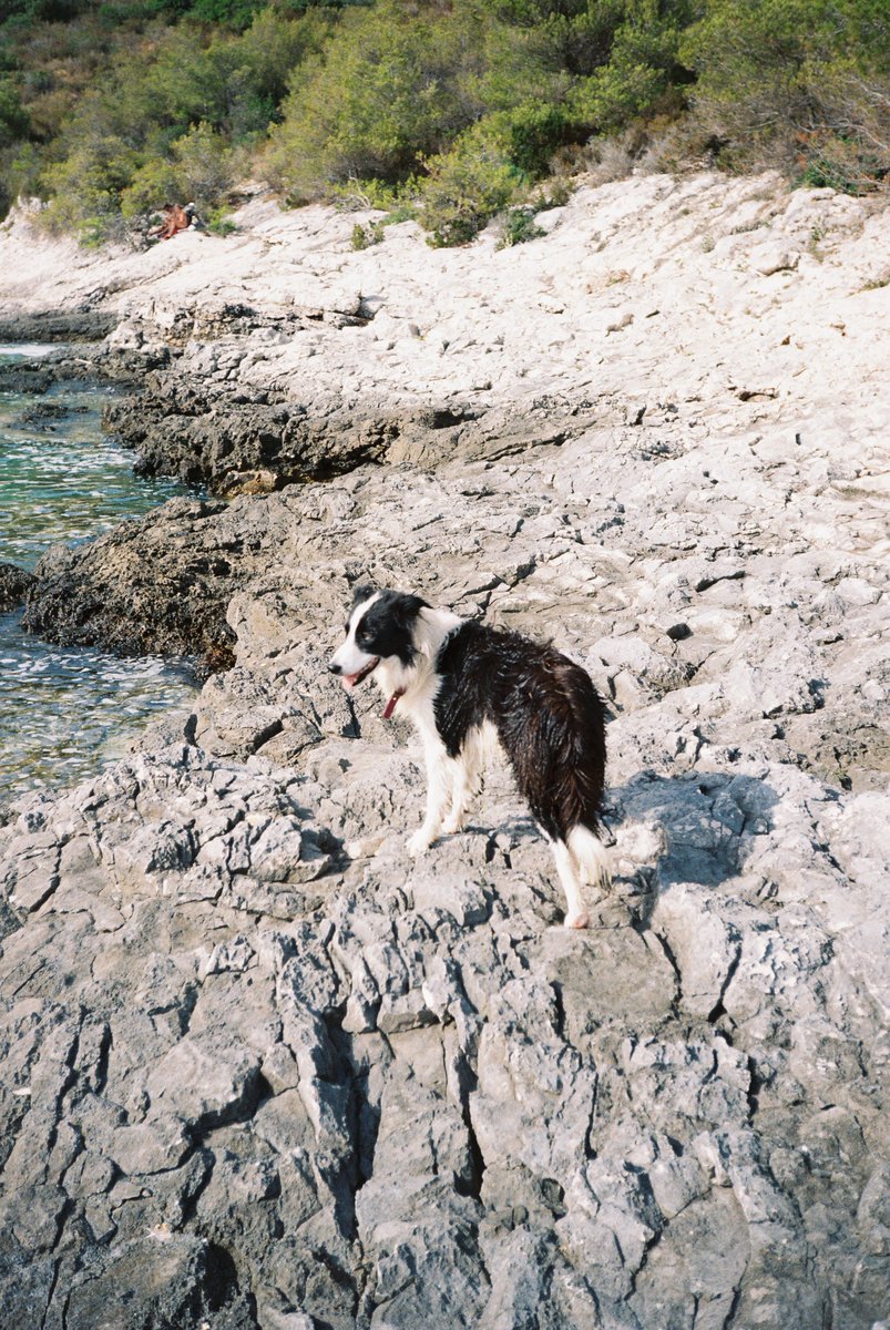 MarinMester's tweet image. summer patterns