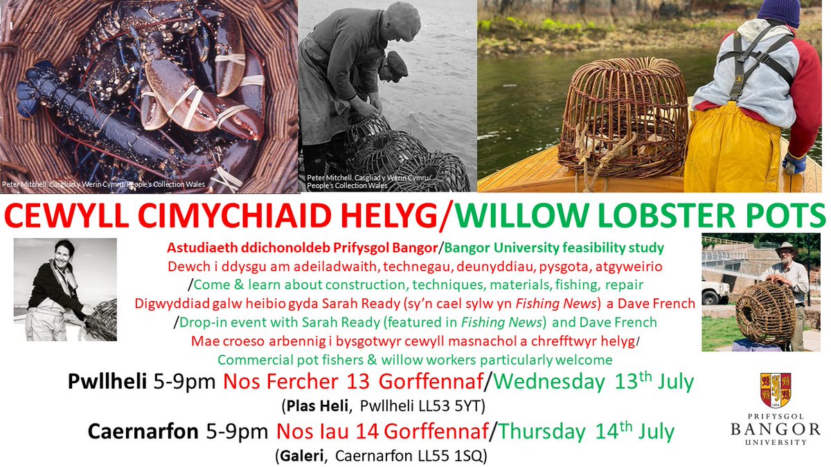 Alec Moore (@alecbmmoore) on Twitter photo Fisher in N Wales? Heritage crafter? Or just want to learn more about traditional willow lobster🦞 pots? Drop-in events tomorrow (<a href="/Plasheli/">Plas Heli Pwllheli</a>) & Thursday (@_GALERI_) with <a href="/fishsarah/">Sarah Ready - Withy Pot Maker #girlyfisherman</a> and <a href="/crabpotdave/">David French</a> Fisher in N Wales? Heritage crafter? Or just want to learn more about traditional willow lobster🦞 pots? Drop-in events tomorrow (<a href="/Plasheli/">Plas Heli Pwllheli</a>) & Thursday (@_GALERI_) with <a href="/fishsarah/">Sarah Ready - Withy Pot Maker #girlyfisherman</a> and <a href="/crabpotdave/">David French</a>