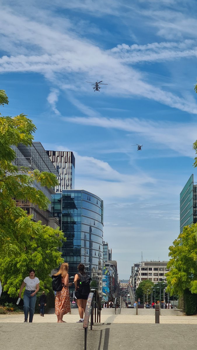 Bibi the 7th tweet media