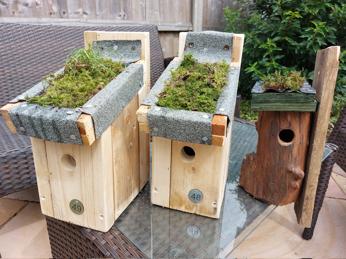 SavetheHouseSp1's tweet photo. Arrived in #Norfolk for @GlobalBirdfair and just finished those green-roofed #birdboxes i mentioned the other day (think they've turned out pretty well - already attracting inverts😎) 

Will be selling these at #Birdfair in a few days time!

#SaveTheHouseSparrow https://t.co/GgljSRQaOC