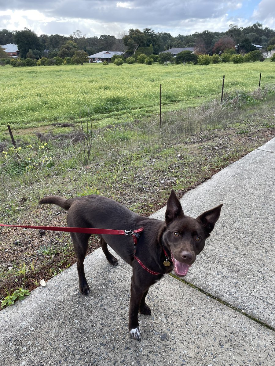 Amanda McGovern tweet media