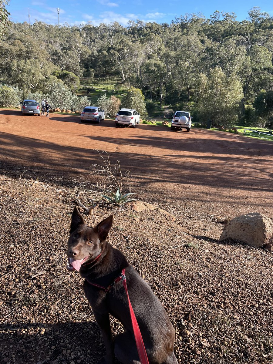 Amanda McGovern tweet media