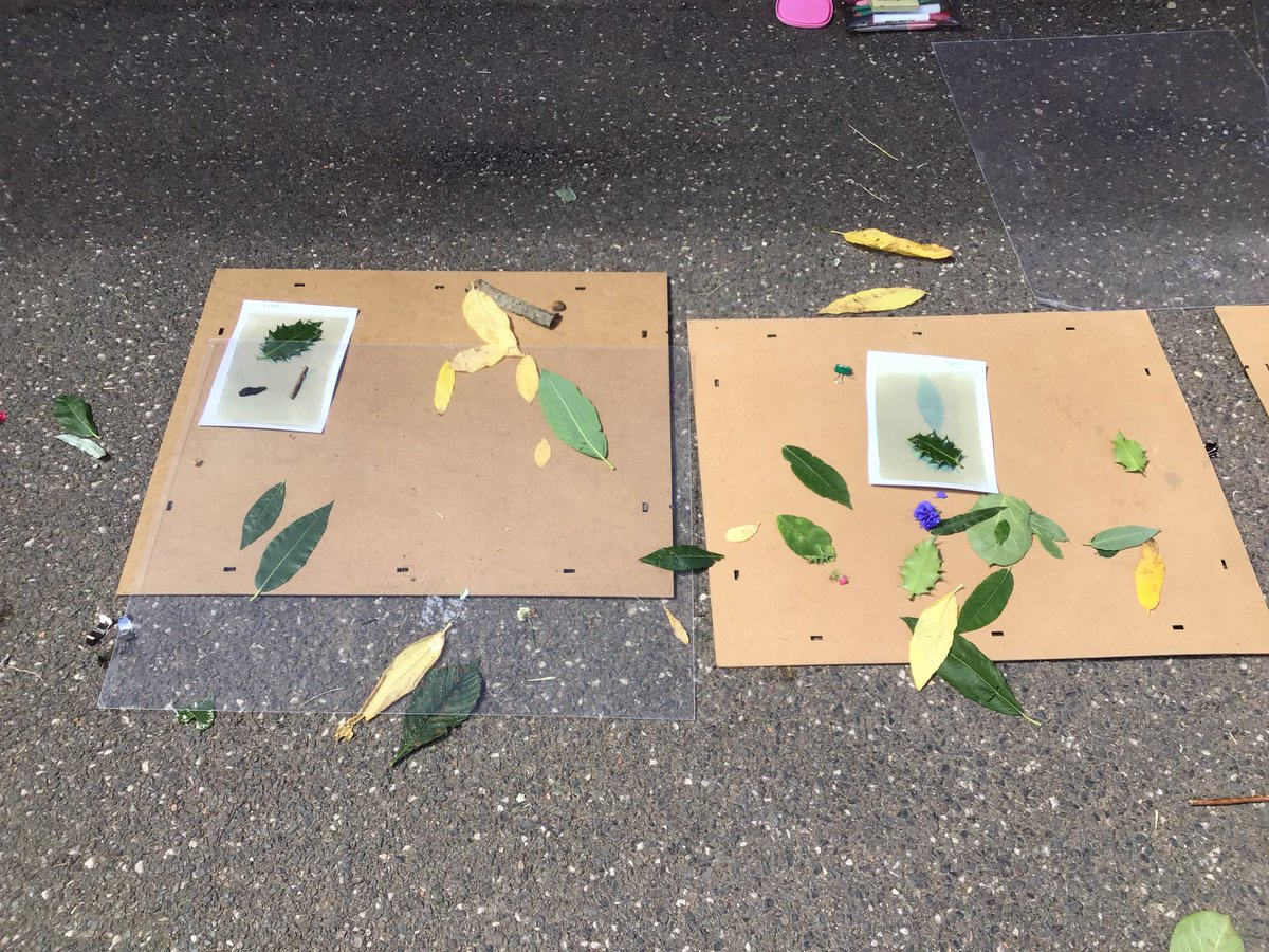newton_class's tweet photo. Fabulous afternoon creating art work last week, courtesy of our artist visitor! @PrimaryNewton https://t.co/tLDTGeHzUJ