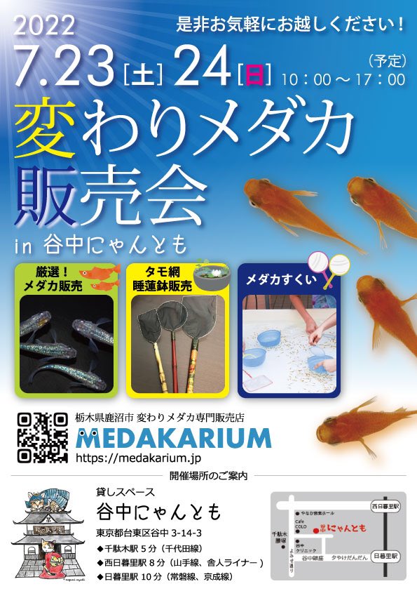 メダカ販売 めだか通販 Medakarium