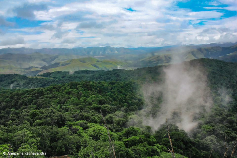 Experiencing the monsoon in the Western Ghats is what Anupama Raghavendra wished for. Her trip to Bhagawathi and Seethanadi brought her in touch with the smaller denizens of the ecosystem.

jlrexplore.com/explore/guest-…