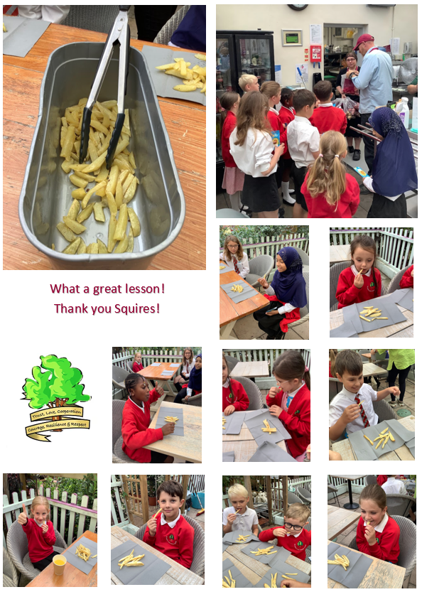 We have completed our Grow Your Own Chips program with <a href="/SquiresGC/">Squire's Garden Centres</a> ! Thank you for welcoming us and giving us the real life lesson of Farm to Fork, which has enhanced our understanding of the principle of Cycle. We had such a great time!
