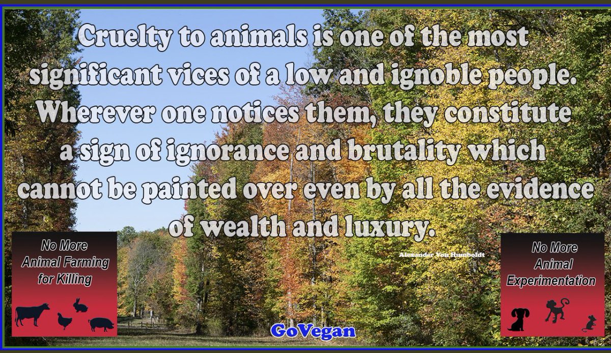 <a href="/JustmeDarlene/">Just Darlene</a> <a href="/stella105eric/">stella casillas</a> <a href="/NARPS/">Bob Fox</a> Miserable “people” 🤬.  Don’t even deserve to be here.
Thanks for the rescue.