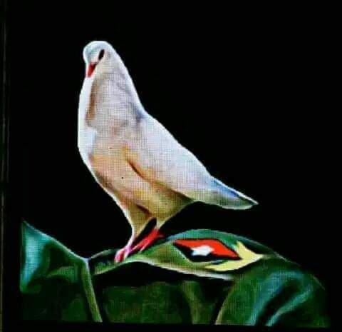 LogVanguardia's tweet photo. Magestuosa, histórica, orgullo de todos los cubanos, la Plaza muestra la tranquilidad, la seguridad, la justicia y la alegría que se vive hoy en la #Cuba de #Fidel, de #Raul y de @DiazCanelB. #CubaPorLaPaz .#CubaPorLaVida
#VamosConTodo. https://t.co/oaL7JKkYZX