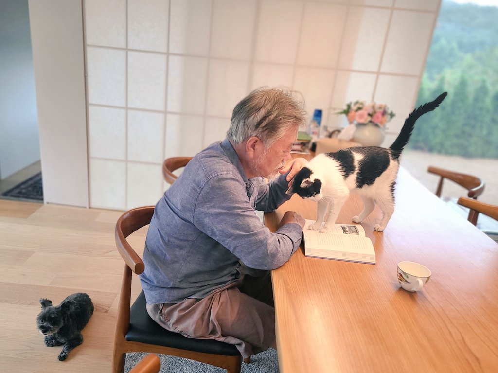 이름 없는 꽃 tweet media