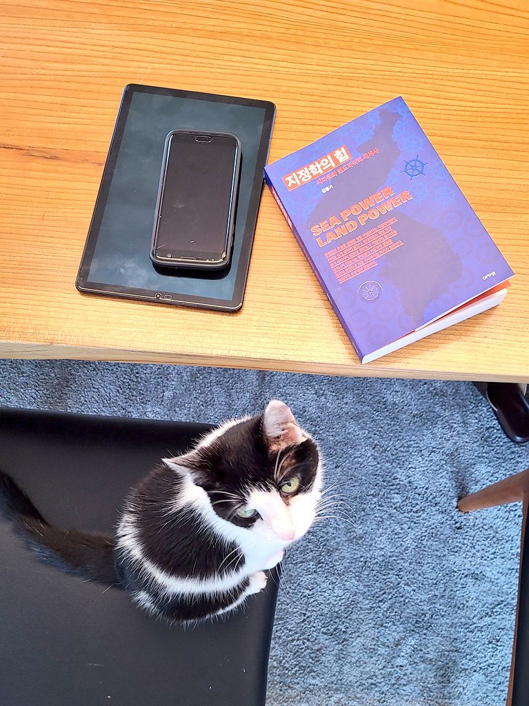 평산에 다녀왔다. 많은 분들께서 깜찍한 수제청, 블랜딩 티 등 다양한 선물을 보내오신다. 감사하게도♡
언제쯤 가족까리 단란하게 조용한 오후 티타임 할 날이 올까. 돈 버는데 혈안인 유투버들은 하루도 쉬지 않고 발광한다. 시끄러!!🤬

비오는 아침 독서 삼매경 중
feat.찡토리
근데 안 더우심?😱