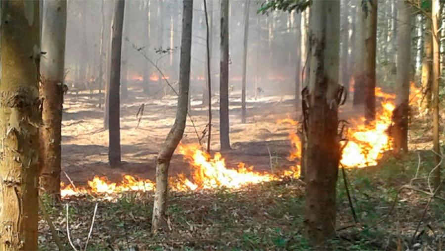 UniversidadeUSC's tweet photo. 🔥 #FacingFIRE, coordinado polo catedrático da @UniversidadeUSC Agustín Merino, reforza a formación do profesorado e doutros axentes sociais sobre prevención de #incendios
O programa Erasmus + aborda tamén a reforestación ou a recuperación de solos
🗞️ https://t.co/BWtZCv1QwH https://t.co/wn1mJiWX0N