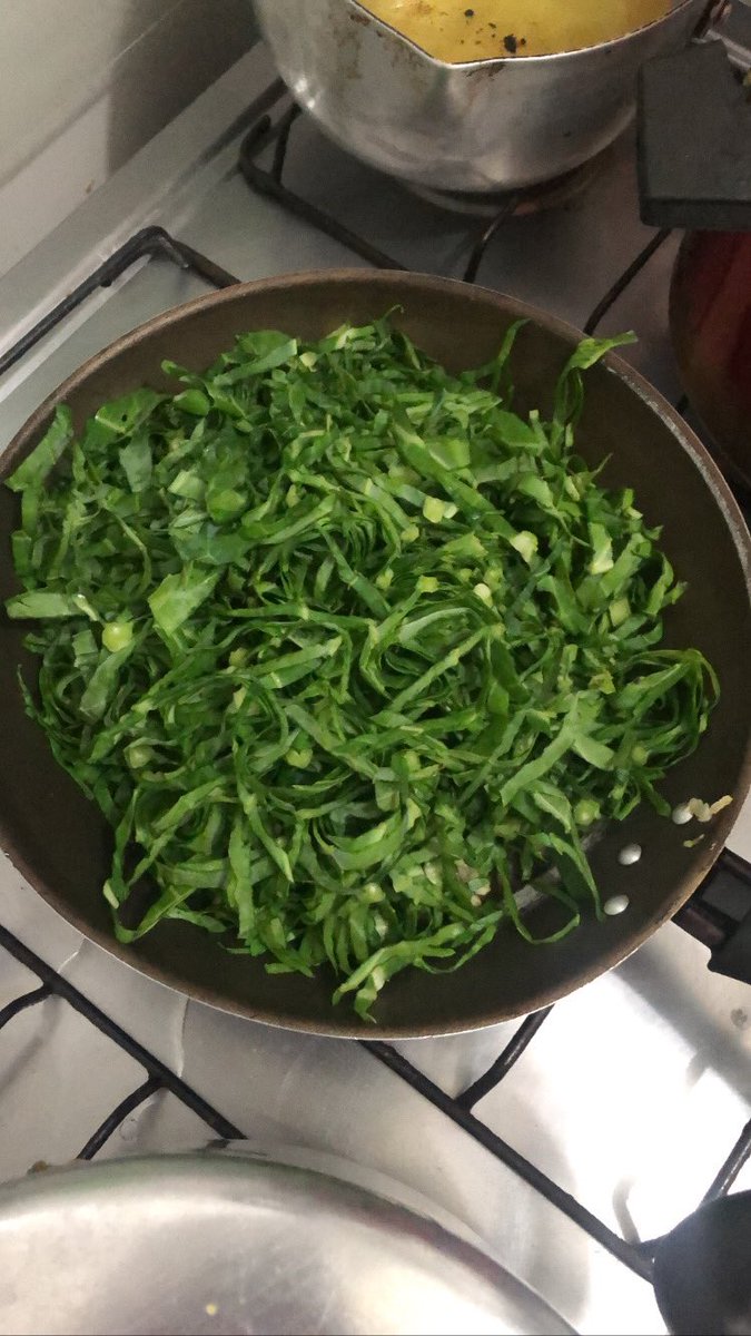 cryingkcal's tweet photo. 150g de couve e 40kcal <3 https://t.co/3bviX937OY