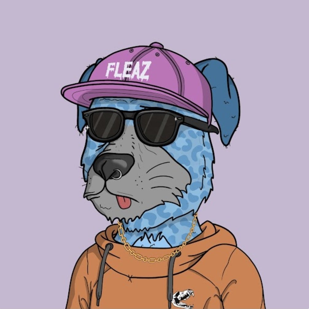 shadymalgill's tweet photo. Thankyou @420NFTPromo for this cool @fleabagzsc 

Stoked to have another one in my wallet. LFG 🔥😎 https://t.co/xjaVbZCj96