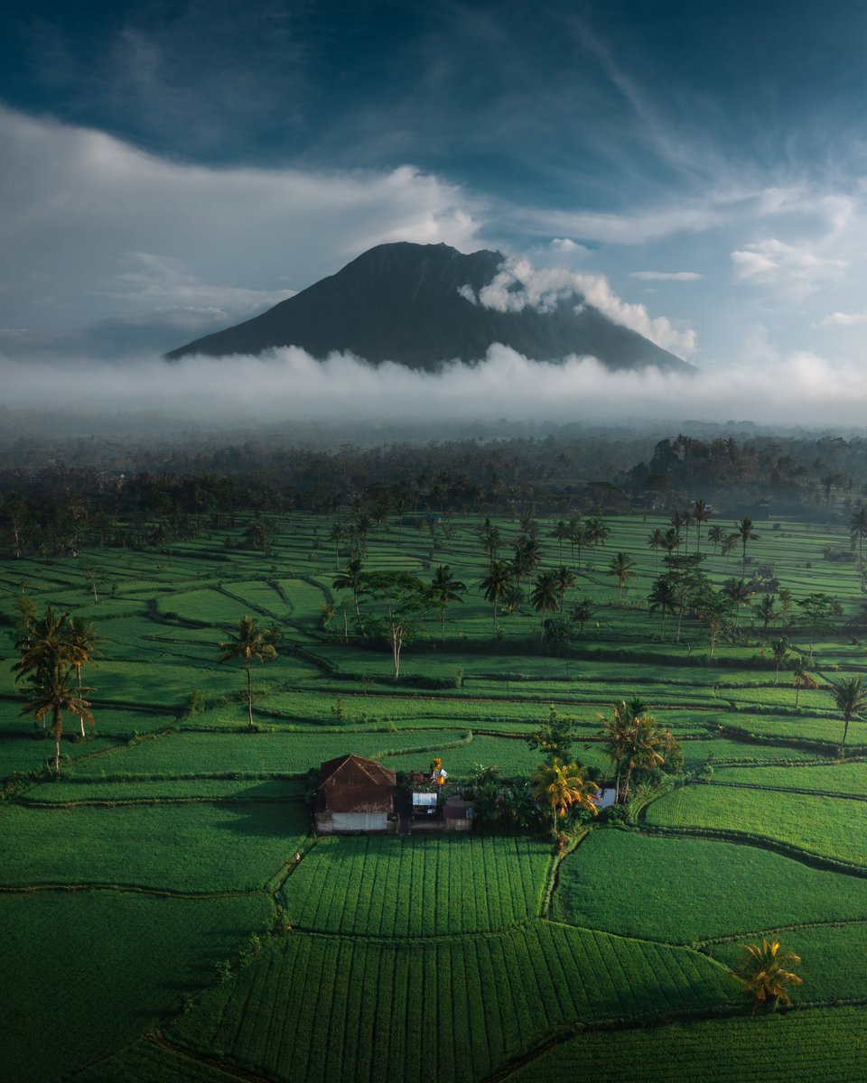 gm ya filthy animals! 🌋