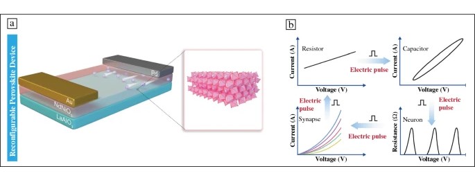 MRSBulletin's tweet photo. #MaterialsNews from #MRSBulletin: Researchers developed a #perovskite neodymium nickelate device that can switch between multiple #ElectronicFunctions such as #neurons, #synapses, #capacitors, &amp; #resistors, which are essential for #BrainInspiredComputers.

https://t.co/7YWg7SgSBg https://t.co/buempVMEFy