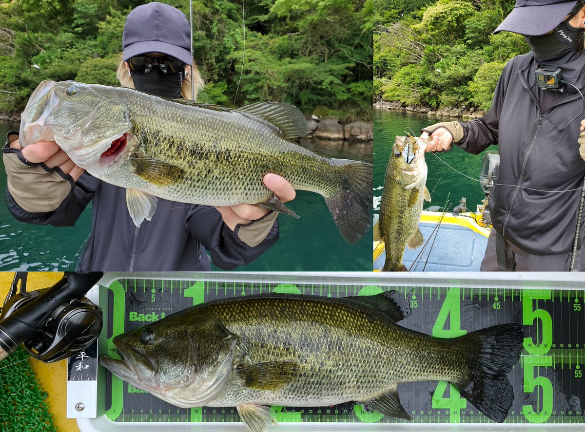 DOF_Johannes's tweet photo. 本日 芦ノ湖 パトロール
特盛 & 並盛 & 大盛
合計 3匹 ブラックバス 確保
#芦ノ湖フィッシングセンターおおば https://t.co/FdE3MCK7Nq