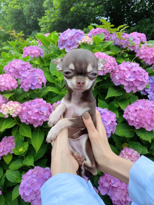 Twitterのコスプレ画像27