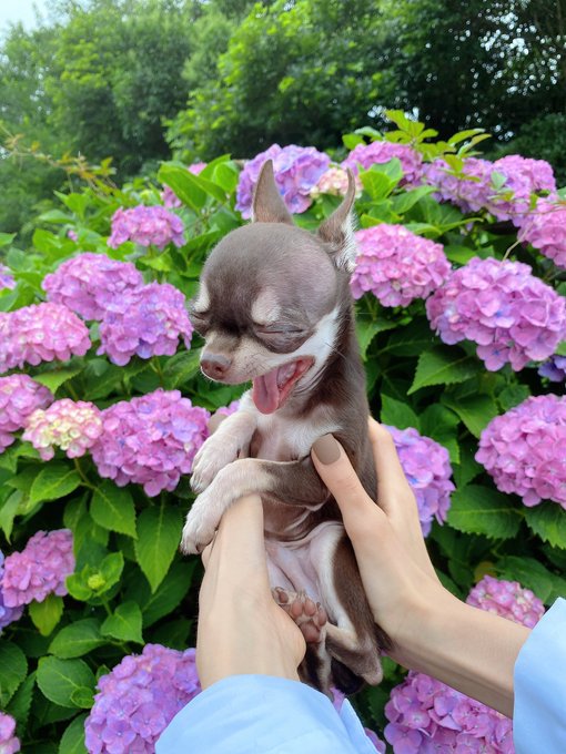 Twitterのコスプレ画像26