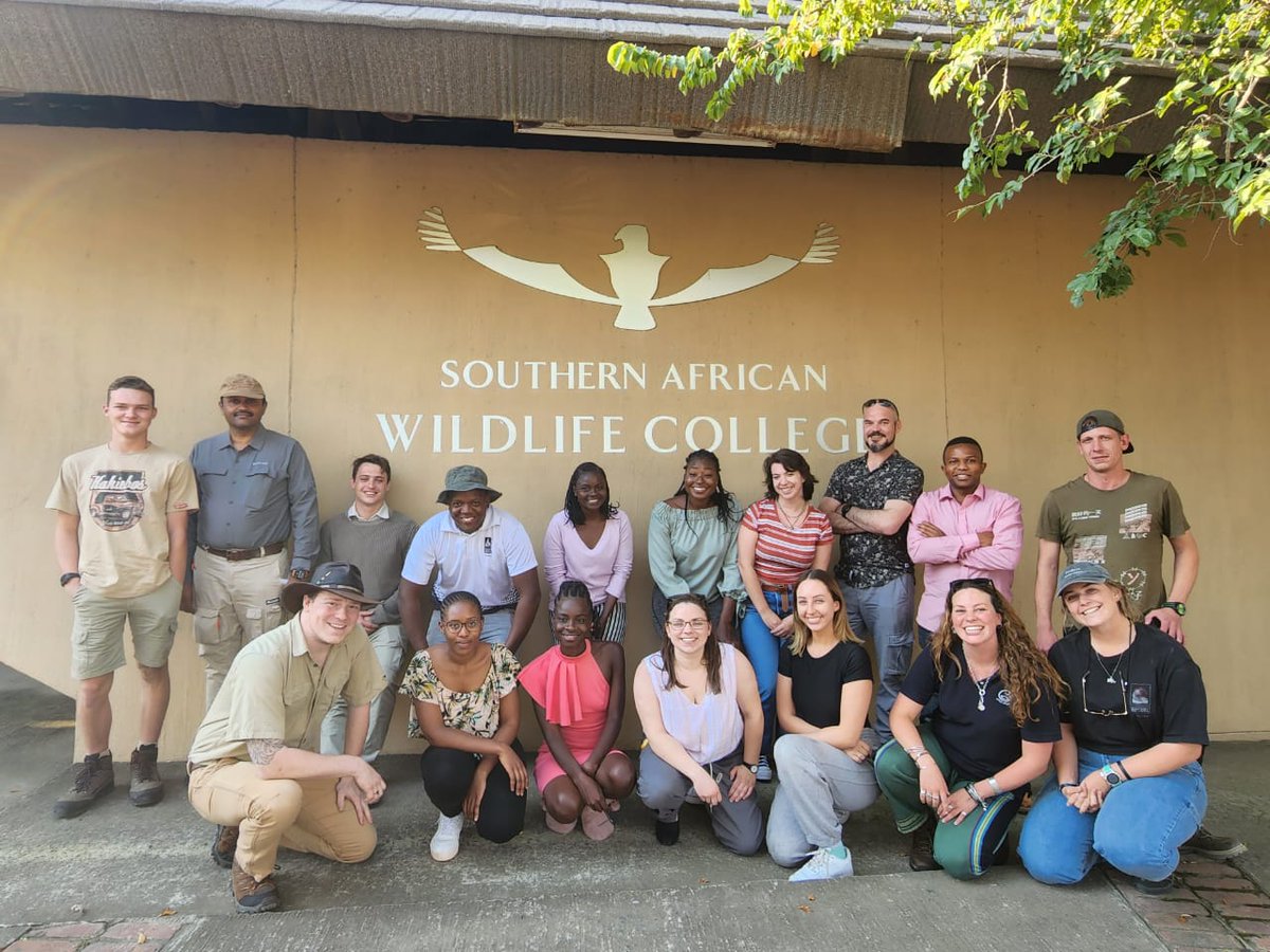 Bushwise Field Guides tweet media