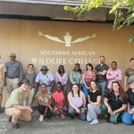 Photo by Bushwise Field Guides (@BushwiseSA)