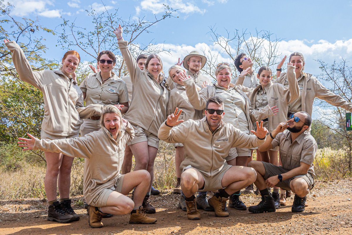 Bushwise Field Guides tweet media