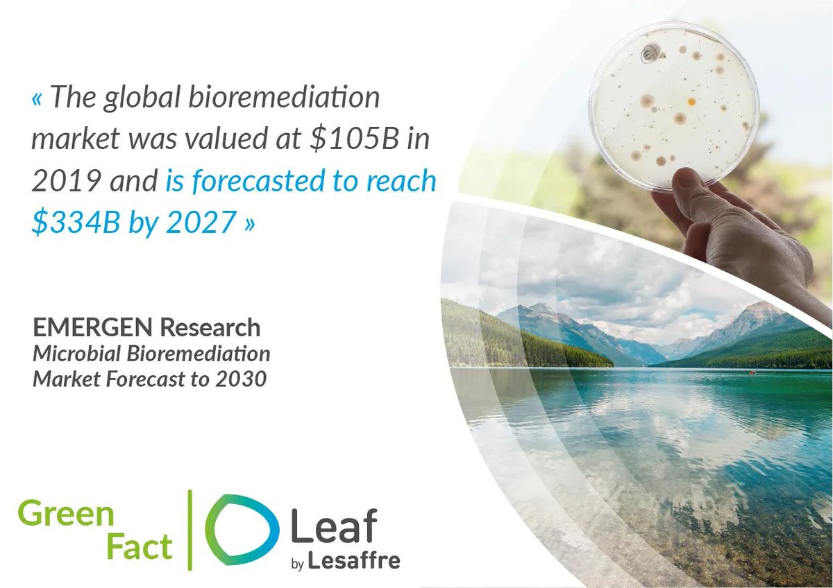 Leaf_Lesaffre's tweet photo. [#GreenFact] Awareness regarding #bioremediation emerged in light of environmental observations. To deal with #pollution of various compounds, microbial bioremediation includes:
🌱Soil remediation
💧Wasterwater remediation
🛢️Oilfield remediation
➡️@emergenresearch &amp; @NLM_NIH https://t.co/x7Tz2nZNfm