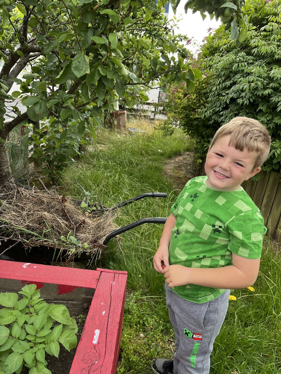 This morning J had noticed the apples on our tree in the nursery garden had started to grow. We took J round to the growing garden in the school. He discovered lots of other things were growing there too. #planting #growing #lifecycles #watering #sunlight <a href="/LoveOutdoorLea1/">Love Outdoor Learning</a> 🍎🍓🫐