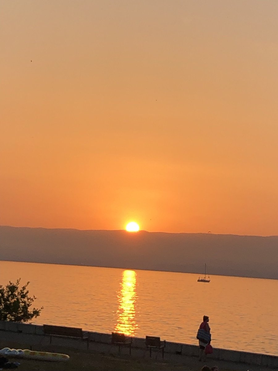 mg_property's tweet photo. Our concierge services are now available in #evian and surrounding areas. Please visit our website https://t.co/Jw3kAWTYUm for more information about how we can help manage your home. https://t.co/nT0FZf8xXi