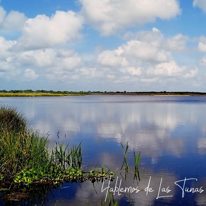 HTunas89's tweet image. Presa del Cornito, Las Tunas, Cuba

#blog #HTunas #LasTunas #Cuba #Travel