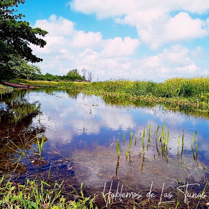 HTunas89's tweet image. Presa del Cornito, Las Tunas, Cuba

#blog #HTunas #LasTunas #Cuba #Travel