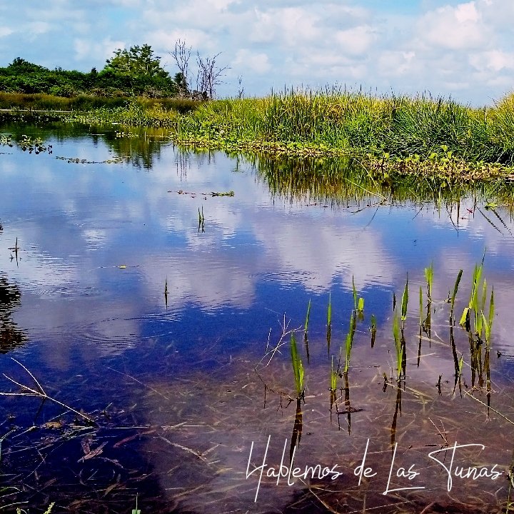 HTunas89's tweet image. Presa del Cornito, Las Tunas, Cuba

#blog #HTunas #LasTunas #Cuba #Travel