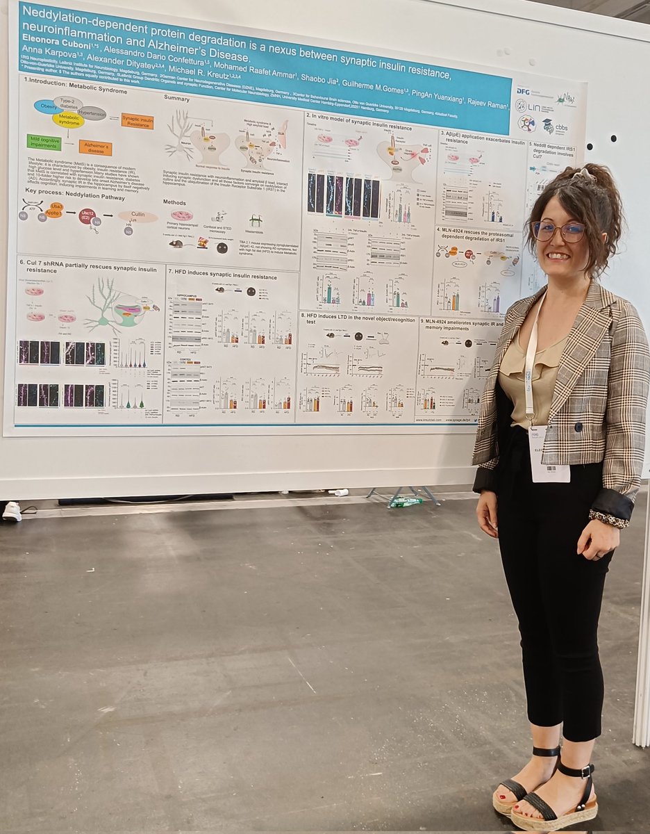 RTG2413SynAGE's tweet photo. #SynAGE is at #FENS2022!

@EleonoraCuboni from @thekreutzlab is presenting now her poster on #Alzheimer #Neddylation and #MetabolicSyndrome!

Poster 284 Section S06 https://t.co/tZscq1okZv