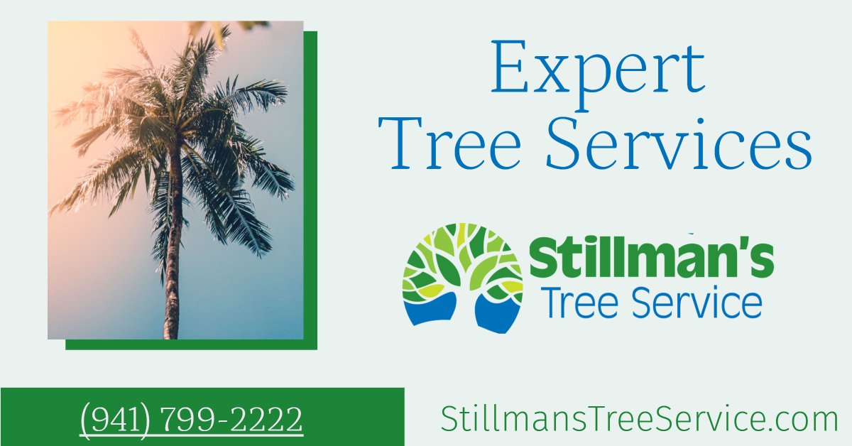 StillmansTree's tweet image. Our customer service makes a local leader.  You can trust the professionals at #StillmansTreeService.  Call (941) 799-2222 to receive an estimate.  😀 
#TreeTrimmer  #TreeTrimming, #TreeRemoval #TreeCutting