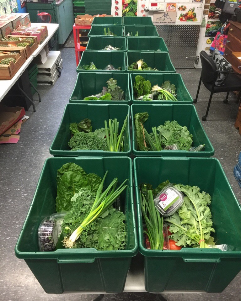 goodfoodbox_ott's tweet photo. These gorgeous greens went to their homes last week, but don't miss ordering  your Ottawa Good Food Box this week to get yours! 🥦🥗🧅
Shop opens Wednesday @ 9AM! 

#FoodJustice #CommunityDriven #OttawaFood #OttawaResources #ottawagoodfoodbox https://t.co/sYcasUo4fJ