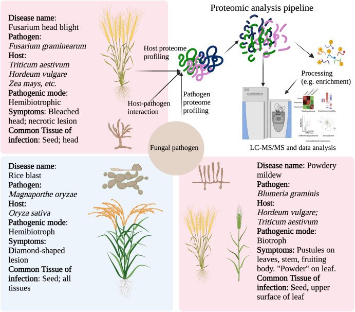Journal of Plant Physiology tweet media