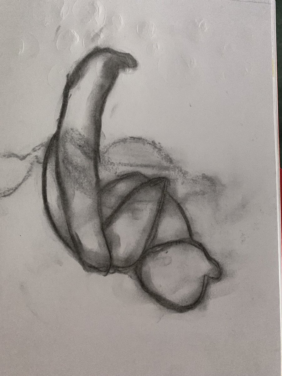 wla_y4's tweet photo. In Class 7, we have enjoyed practising sketching still life using different mediums. #WLAArt #differentmediums #charcoal #watercolourpaints https://t.co/efP1x5iRh8