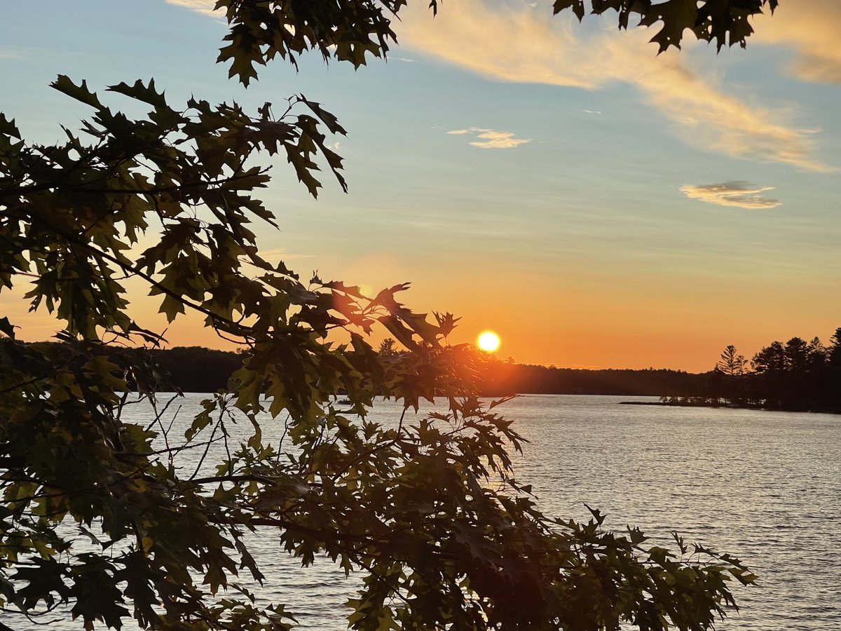 MJCollinsMD's tweet photo. The storms blew through and we had a quiet Minnesota sunset.
#WritingCommunity
#AllBleedingStops
#medtwitter
#orthotwitter
#gopherstate
#minnesota
#northwoods https://t.co/DBXeTpMAuI