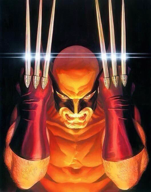 #TuesdayMotivaton #wolverine 