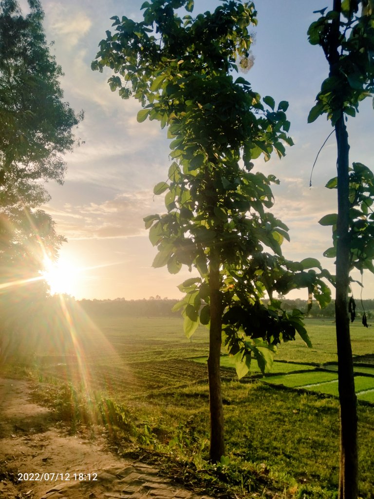 Catching from my phone...💖💖