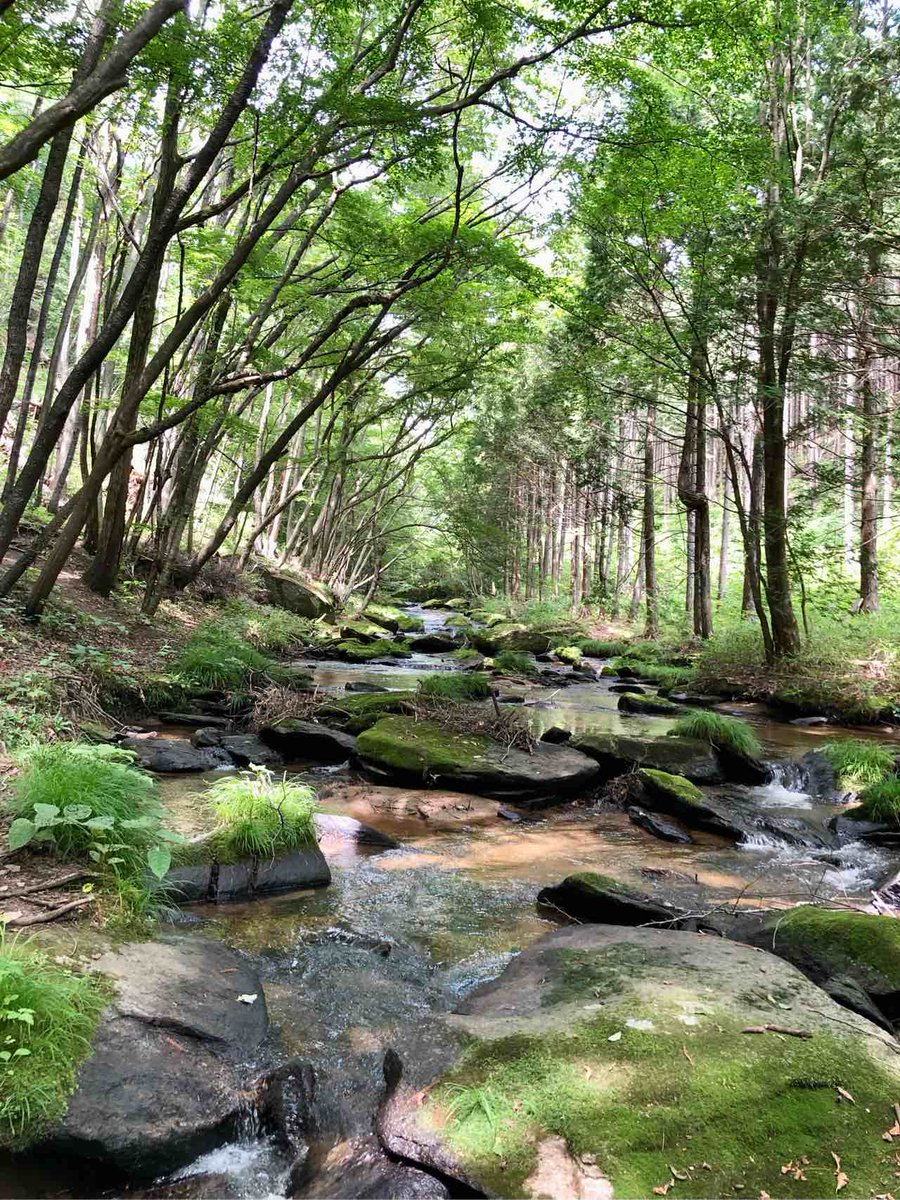seibouz's tweet photo. きのうまた別天地を見つけてしまった。これぞ低山トラベル。 https://t.co/n4MBjvQ77p