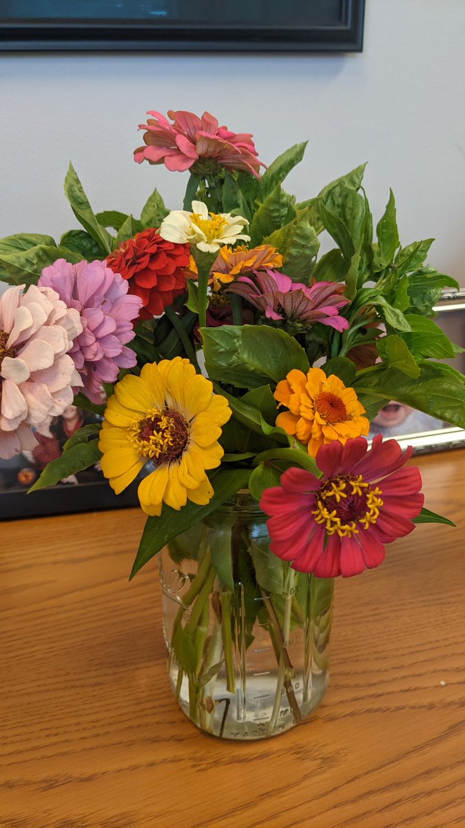 Today's bounty from the <a href="/MiddleCreekES/">Middle Creek ES</a> school garden. <a href="/kellycancro/">Kelly Cancro</a>