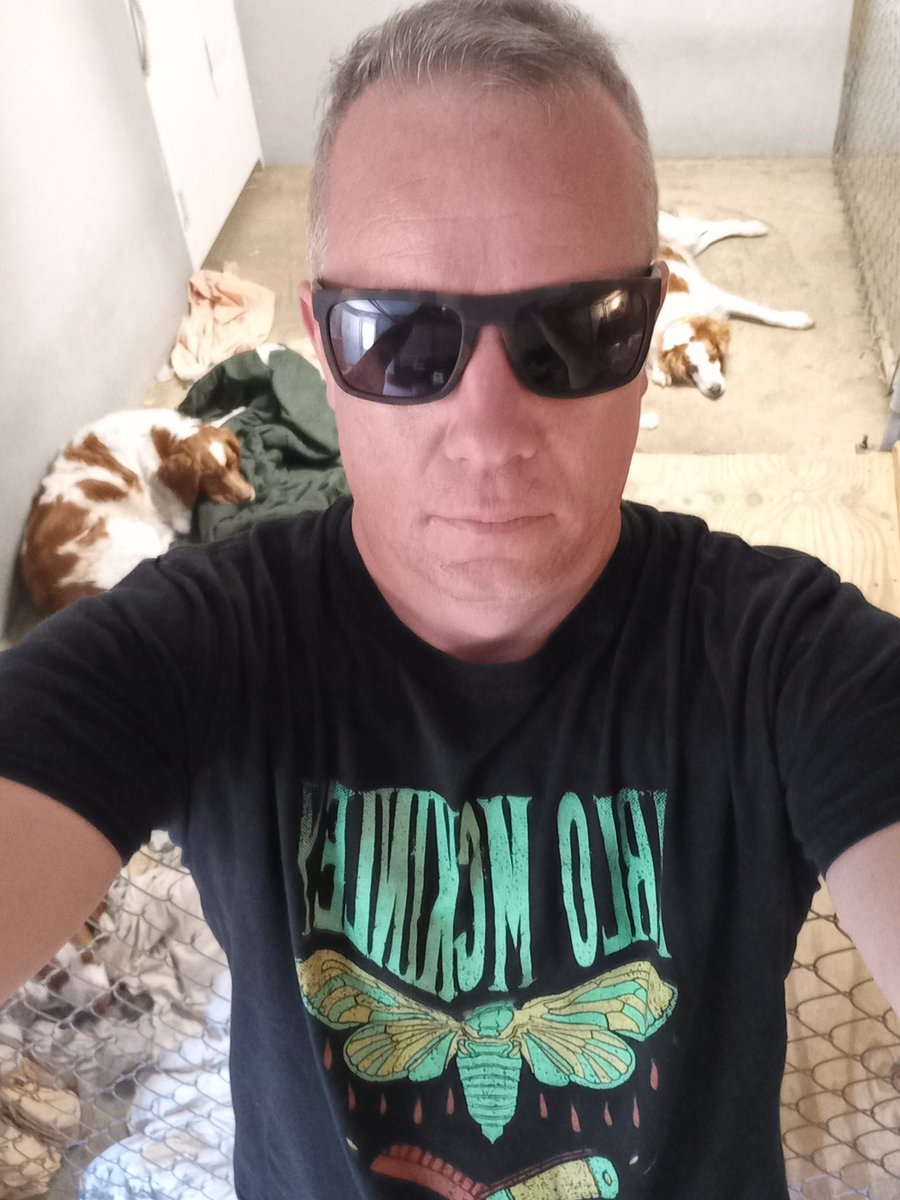 vincefromdelhi's tweet photo. It's @ArloMckinley week in America. #ThisMess https://t.co/BwGWV4Ua6e