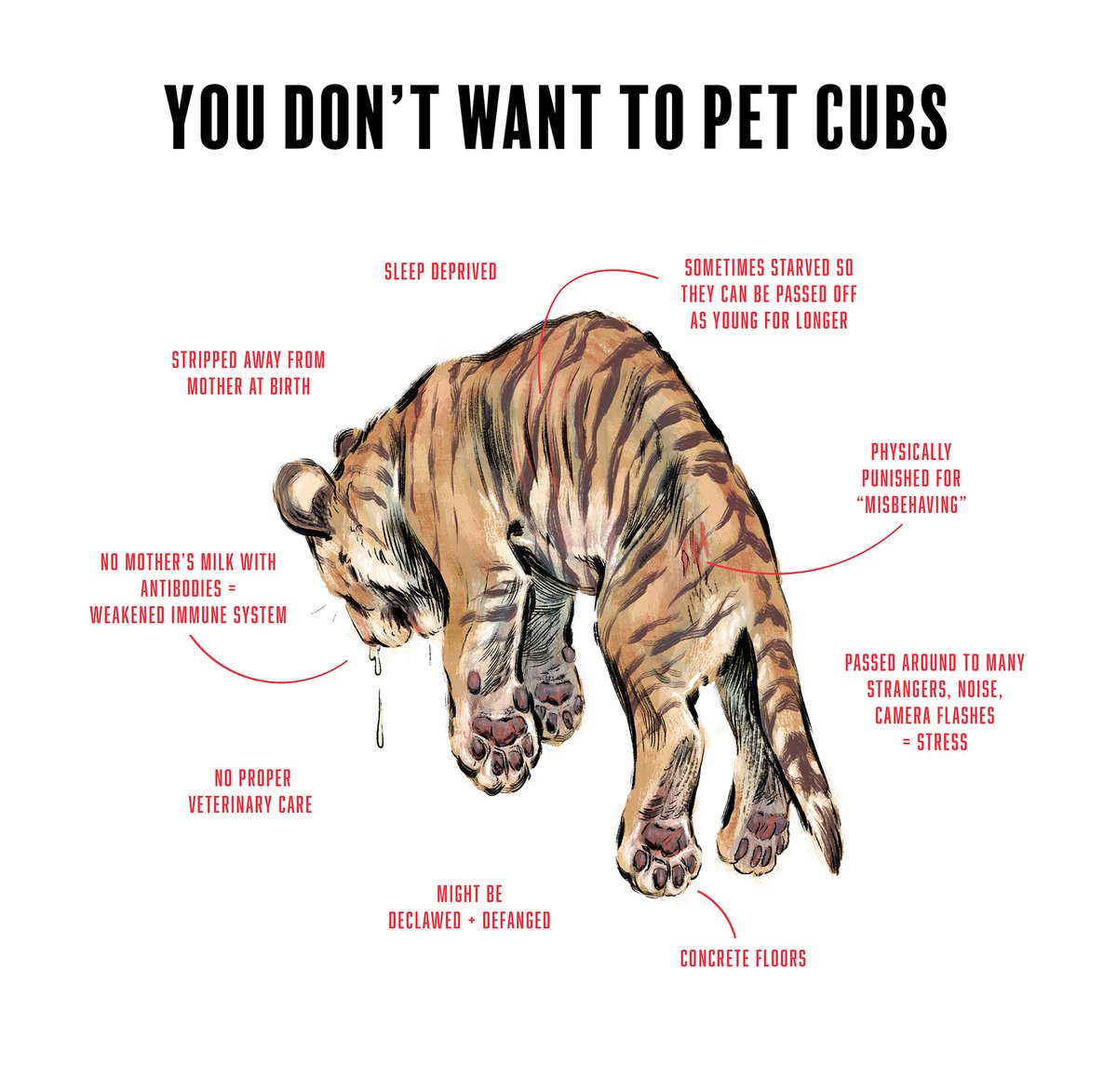 Hi #PortfolioDay! I’m Emily and I like to draw animals, horror, and comics