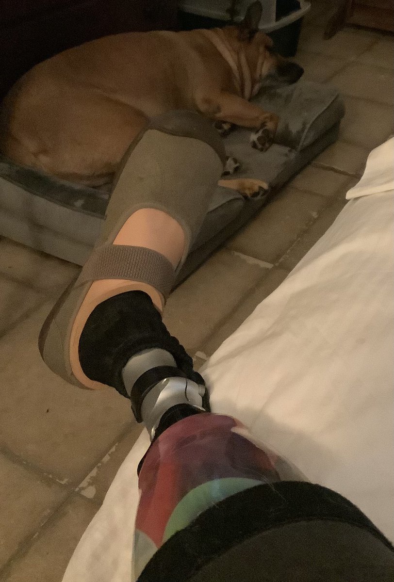 deborah_saffer's tweet photo. Leg Really is #Broken 😔 Really #Hurts Yesterday maybe was #TooMuch Going to #Rest…..Like, YES, like I #Really Am…..Not just say I Am‼️#SelfCare #KnowLimits Look at my baby; Walter. He’s so #Precious 🐶 He #Missed Mama while I was with Annabelle. ❤️ https://t.co/r5xjD3O6kb
