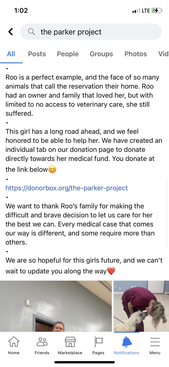 ParkerProjectSF's tweet photo. Meet RooRoo, she has a family that surrendered her with love so that she can heal and thrive. They did everything they could, but the Vet resources simply weren’t available to them. If you'd like to help with RooRoo's pain, conditions &amp; upcoming vet bills https://t.co/0QBaTo0kzg https://t.co/1adsB1kvcy