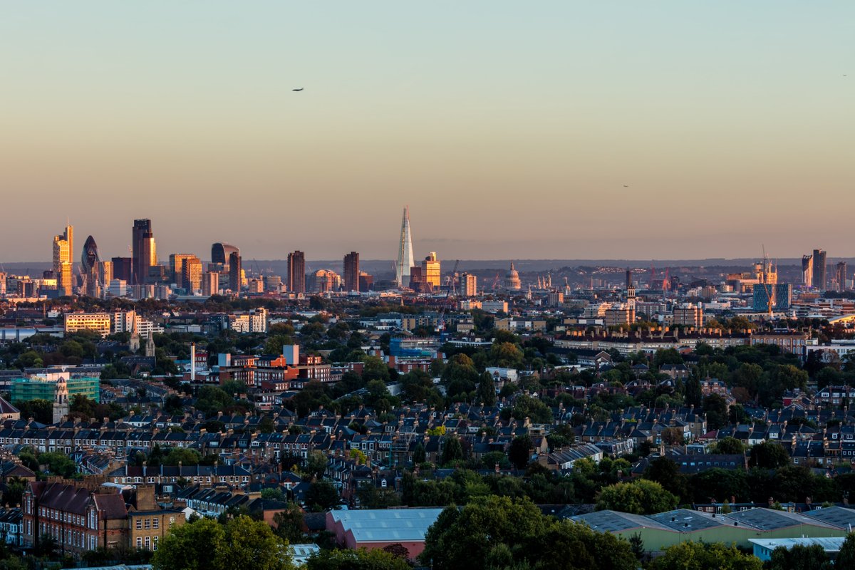 Essential Living tweet media